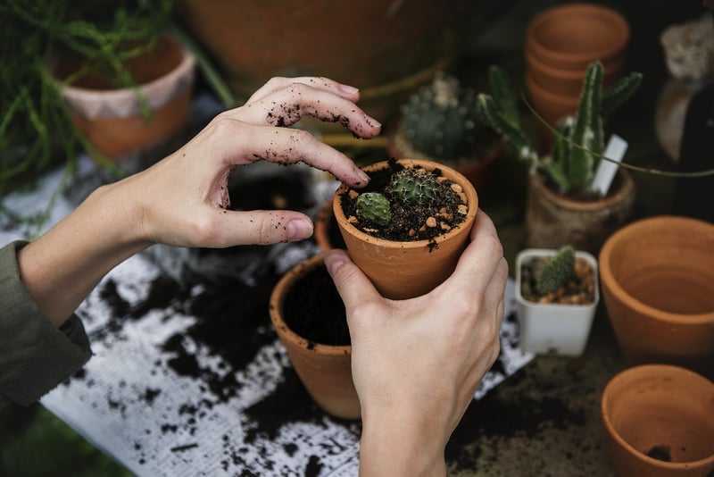 Mason Jar Planters